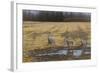 A Sense of Danger-Michael Budden-Framed Giclee Print