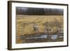 A Sense of Danger-Michael Budden-Framed Giclee Print