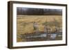 A Sense of Danger-Michael Budden-Framed Giclee Print