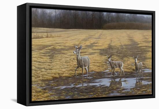 A Sense of Danger-Michael Budden-Framed Stretched Canvas