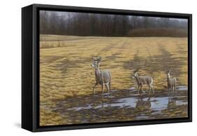 A Sense of Danger-Michael Budden-Framed Stretched Canvas