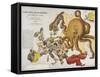 A Serio-Comic Map of Europe, John Bull and His Friends, 1900-Frederick W Rose-Framed Stretched Canvas