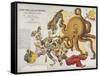 A Serio-Comic Map of Europe, John Bull and His Friends, 1900-Frederick W Rose-Framed Stretched Canvas