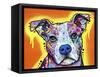 A Serious Pit-Dean Russo-Framed Stretched Canvas