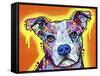 A Serious Pit-Dean Russo-Framed Stretched Canvas