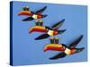 A Set of Three Carltonware Graduated Guinness Advertising Toucan Wall Hangings-null-Stretched Canvas