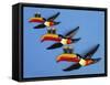 A Set of Three Carltonware Graduated Guinness Advertising Toucan Wall Hangings-null-Framed Stretched Canvas