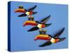 A Set of Three Carltonware Graduated Guinness Advertising Toucan Wall Hangings-null-Stretched Canvas