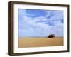 A Shack in the Outback, New South Wales, Australia-Mark Mawson-Framed Photographic Print