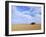 A Shack in the Outback, New South Wales, Australia-Mark Mawson-Framed Photographic Print