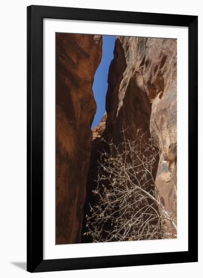 A Shaded Spot-Andrew Geiger-Framed Giclee Print