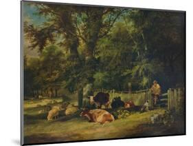 A Shady Corner, 1840-William Shayer-Mounted Giclee Print