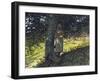 A Shady Spot, Houghton Farm, 1878-Winslow Homer-Framed Giclee Print