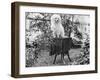 A Shaggy Looking Dog Awaits Grooming on a Table, Ca. 1910-null-Framed Photographic Print