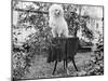A Shaggy Looking Dog Awaits Grooming on a Table, Ca. 1910-null-Mounted Photographic Print