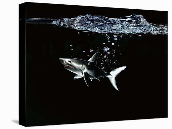 A Shark under Water-Hermann Mock-Stretched Canvas