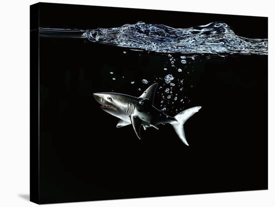 A Shark under Water-Hermann Mock-Stretched Canvas