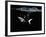 A Shark under Water-Hermann Mock-Framed Photographic Print