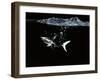 A Shark under Water-Hermann Mock-Framed Photographic Print