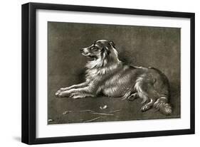 A Sheep Dog, 1901-Walter Hunt-Framed Giclee Print