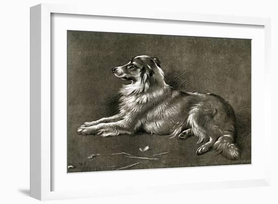 A Sheep Dog, 1901-Walter Hunt-Framed Giclee Print