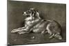 A Sheep Dog, 1901-Walter Hunt-Mounted Giclee Print