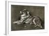 A Sheep Dog, 1901-Walter Hunt-Framed Giclee Print