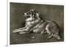 A Sheep Dog, 1901-Walter Hunt-Framed Giclee Print