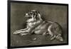 A Sheep Dog, 1901-Walter Hunt-Framed Giclee Print