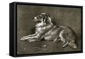 A Sheep Dog, 1901-Walter Hunt-Framed Stretched Canvas