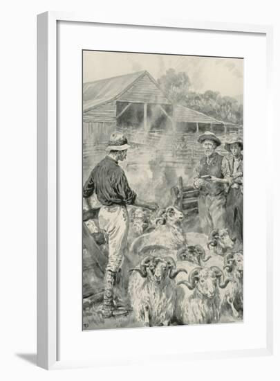 A Sheep Station on Canterbury Plains-Frank Dadd-Framed Giclee Print