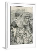 A Sheep Station on Canterbury Plains-Frank Dadd-Framed Giclee Print