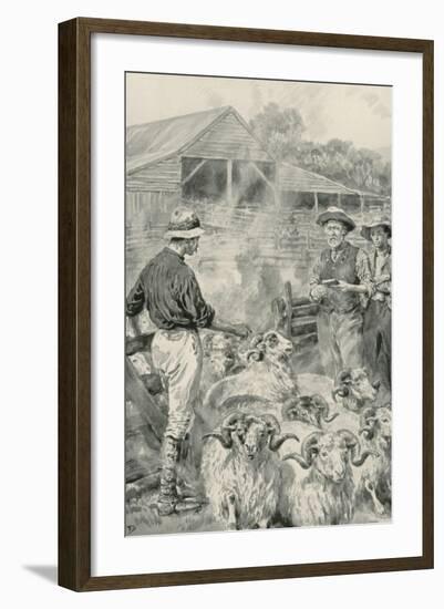 A Sheep Station on Canterbury Plains-Frank Dadd-Framed Giclee Print