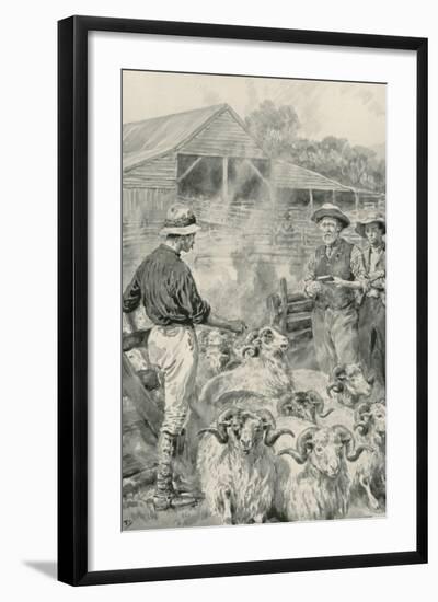 A Sheep Station on Canterbury Plains-Frank Dadd-Framed Giclee Print