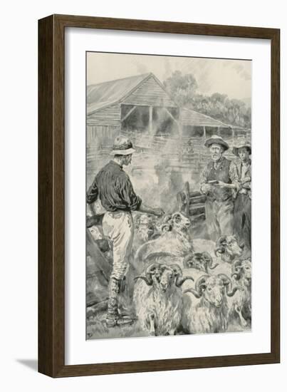 A Sheep Station on Canterbury Plains-Frank Dadd-Framed Giclee Print