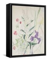 A Sheet of Flower Studies with Irises and Lilies, C.1948 (W/C & Pencil Lined on Conservation Tissue-John Northcote Nash-Framed Stretched Canvas