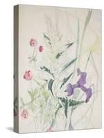 A Sheet of Flower Studies with Irises and Lilies, C.1948 (W/C & Pencil Lined on Conservation Tissue-John Northcote Nash-Stretched Canvas