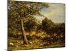 A Shepherd and His Flock in a Sunlit Wooded Landscape, 1875-William Linnell-Mounted Giclee Print