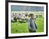 A Shepherd Stands by His Sheep in Miclosoara, Romania, October 2006-Rupert Wolfe-murray-Framed Photographic Print