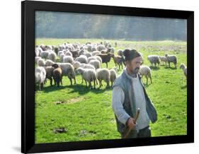 A Shepherd Stands by His Sheep in Miclosoara, Romania, October 2006-Rupert Wolfe-murray-Framed Photographic Print