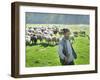 A Shepherd Stands by His Sheep in Miclosoara, Romania, October 2006-Rupert Wolfe-murray-Framed Photographic Print