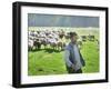 A Shepherd Stands by His Sheep in Miclosoara, Romania, October 2006-Rupert Wolfe-murray-Framed Photographic Print