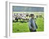 A Shepherd Stands by His Sheep in Miclosoara, Romania, October 2006-Rupert Wolfe-murray-Framed Photographic Print