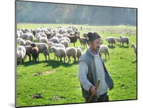 A Shepherd Stands by His Sheep in Miclosoara, Romania, October 2006-Rupert Wolfe-murray-Mounted Photographic Print