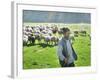 A Shepherd Stands by His Sheep in Miclosoara, Romania, October 2006-Rupert Wolfe-murray-Framed Photographic Print