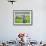 A Shepherd Stands by His Sheep in Miclosoara, Romania, October 2006-Rupert Wolfe-murray-Framed Photographic Print displayed on a wall