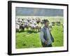 A Shepherd Stands by His Sheep in Miclosoara, Romania, October 2006-Rupert Wolfe-murray-Framed Photographic Print