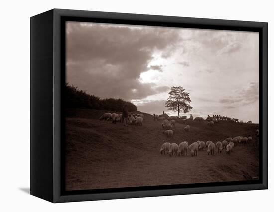 A Shepherd Surveys His Flock at the End of the Day, 1935-null-Framed Stretched Canvas