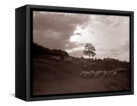 A Shepherd Surveys His Flock at the End of the Day, 1935-null-Framed Stretched Canvas