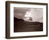 A Shepherd Surveys His Flock at the End of the Day, 1935-null-Framed Photographic Print